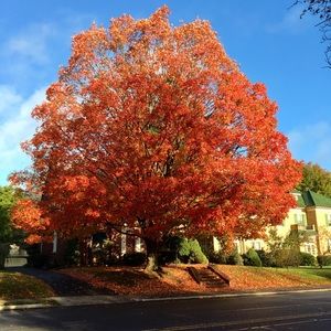 Meet your Posher, Danelle